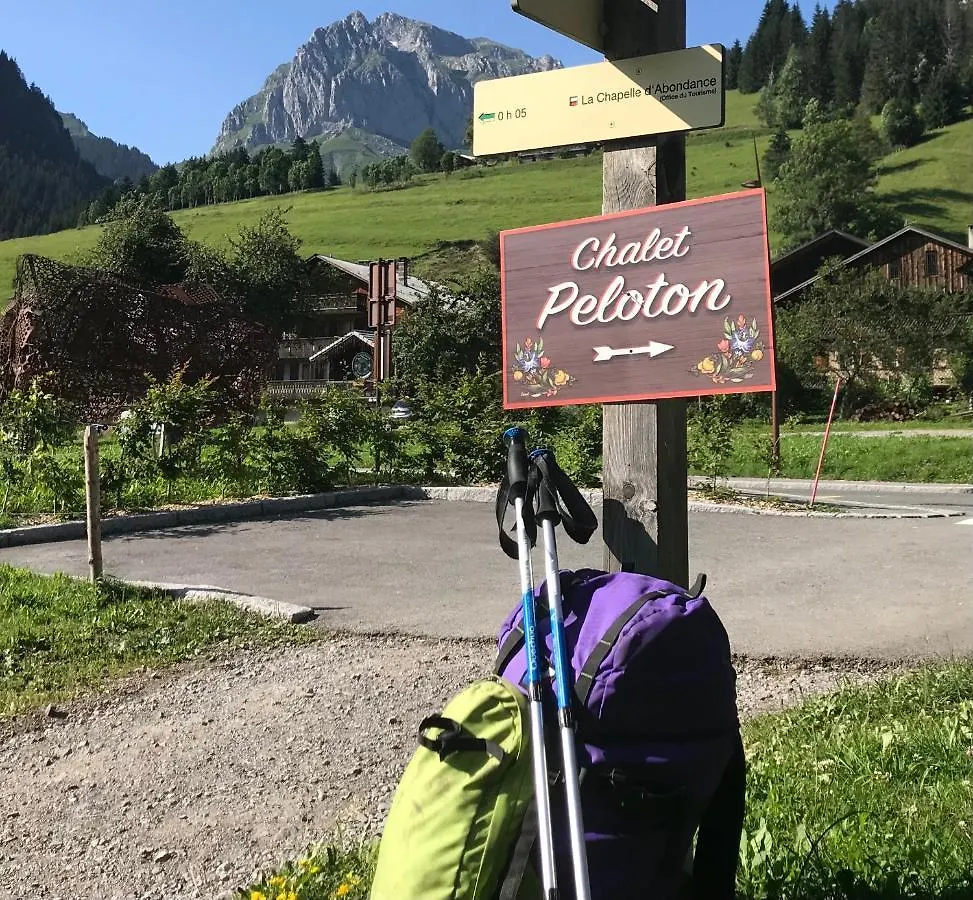 Bed & Breakfast Chalet Peloton Abondance